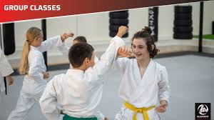 Image result for Full Element Mixed Martial Arts