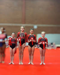 Image result for Tamworth Olympic Gymnastics Club
