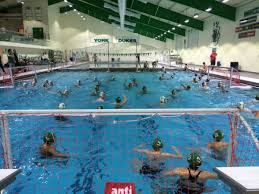 Image result for York University Swimming & Water Polo Club