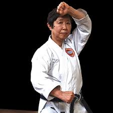 Image result for Mickleham Seiki Juku Karate Club