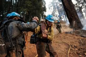 Image result for Hotshots