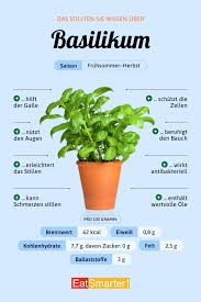 Image result for Basilikum