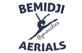 Image result for St Bedes Gymnastics Club