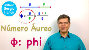 Image result for numero aureo