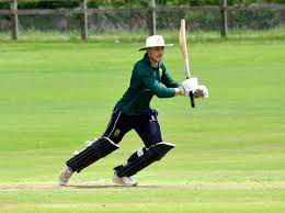 Image result for Cornwood Cricket Club