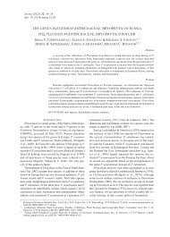 Attēlu rezultāti vaicājumam “Pleuridium subulatum sporophyte”