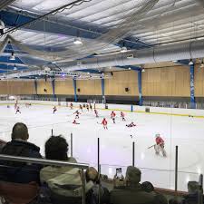 Image result for Streatham Ice Figure Skating Club, Kent