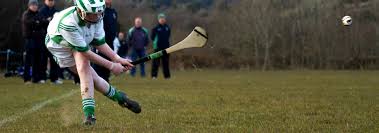 Image result for World of Shinty