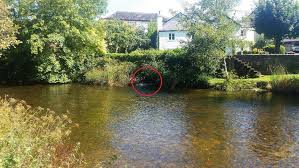 Image result for Dulverton Angling Association