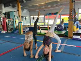 Image result for Little Tricks Gymnastics - Pre-School and Play Gym