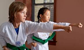 Image result for America's Best Karate