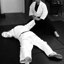 Image result for Bakewell Aikido Club