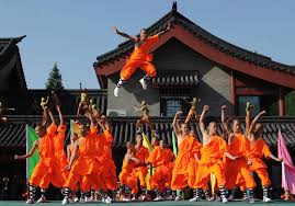 Image result for Shaolin Ancestors kung Fu School