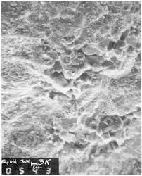 Image result for SEM micrographs of Novaculite Arkansas