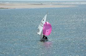 Image result for Dovey Yacht Club