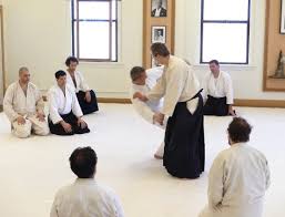 Image result for Southport Muto Aikido Club