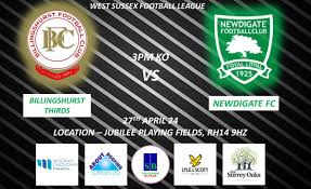 Image result for Newdigate F C