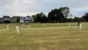 Image result for Friarmere Cricket Club