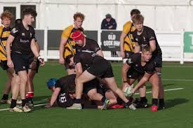 Image result for Harpenden Rugby Club