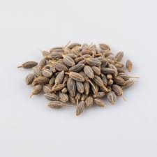 Attēlu rezultāti vaicājumam “Carum carvi”