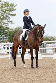 Image result for Abinger Forest Riding Club