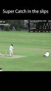 Image result for Wells Cricket Club