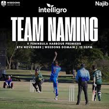 Image result for Rolleston Cricket Club