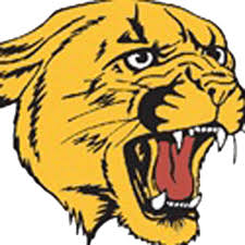 Image result for Craigavon Cougars