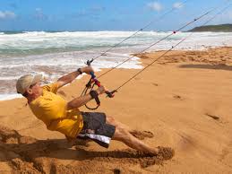 Image result for Baiter Power Kite