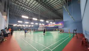 Image result for Pioneers Badminton Club