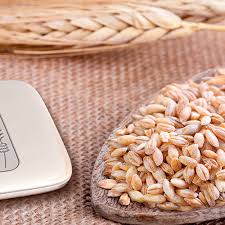 Image result for 春粒