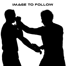 Image result for Midlands Wing Chun