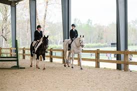 Image result for Bookham Riding School
