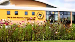 Image result for Molineux Netball Club