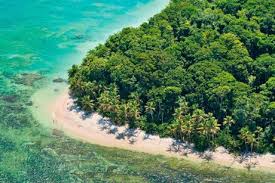 Image result for cahuita costa rica