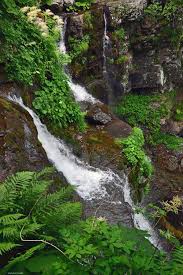Image result for cascate del dardagna