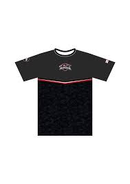 Image result for Farnborough Arrows