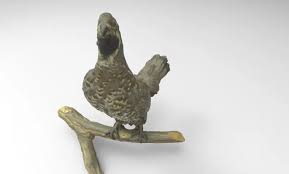 Attēlu rezultāti vaicājumam “Tetrastes bonasia”