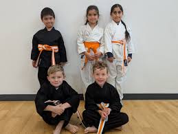 Image result for Junsui Shotokan Karate Do