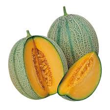 Image result for Melone
