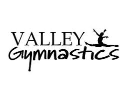 Image result for Amber Valley Gymnastics Club