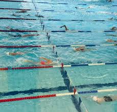 Image result for Wisbech Swimming Club