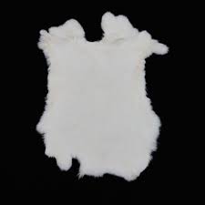 Image result for white rabbit skin texture