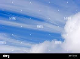 Attēlu rezultāti vaicājumam “Cirrus fibratus”