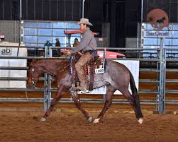 Image result for Fisher Equestrian