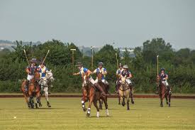 Image result for Taunton Vale Polo Club