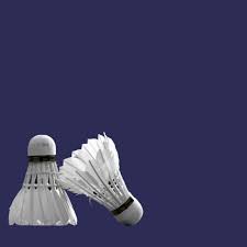 Image result for Stanstead Abbotts Junior Badminton Club