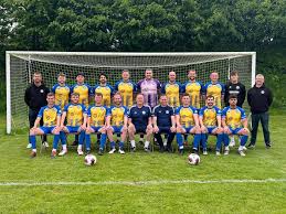 Image result for Braunton Football Club