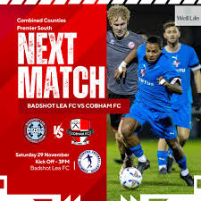 Image result for Cobham Sports Association Ltd