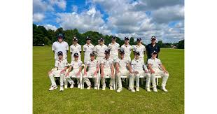 Image result for Shenley Village Cricket Club